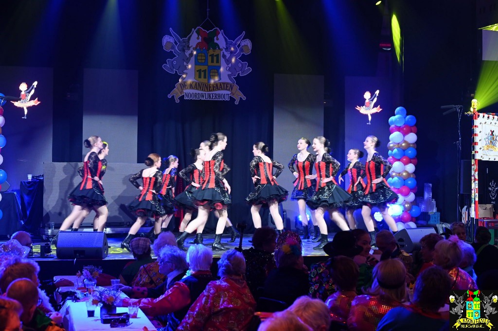 ../Images/Seniorencarnaval 2026 233.jpg